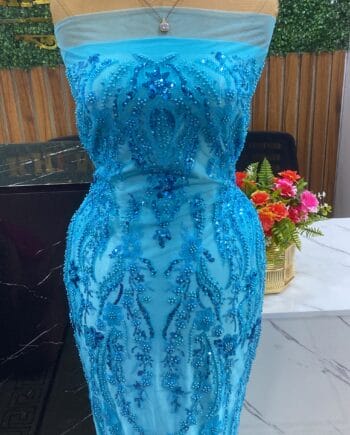 Olesia Beaded Lace