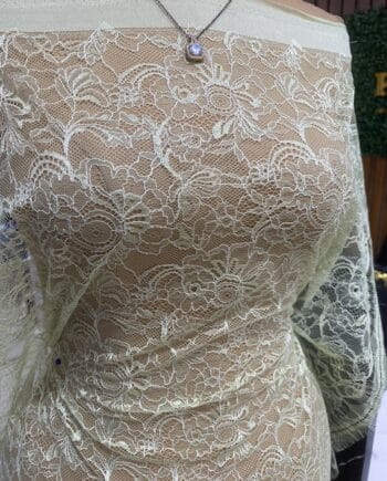 Toyosi Chantilly Lace - Image 4